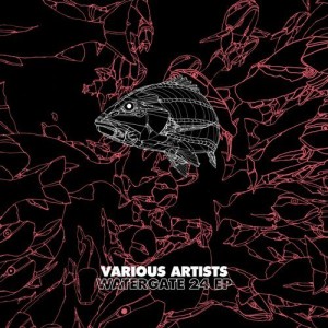 VA - Watergate 24 EP [WGVINYL049]
