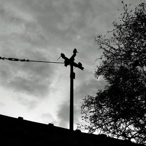 Arnaud Le Texier - Archives / Arnaud Le Texier (10 Years Affin) [AFFIN030COMP]