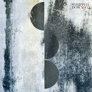 Munimuni, Seelenwald - Missing Link [STRD002]