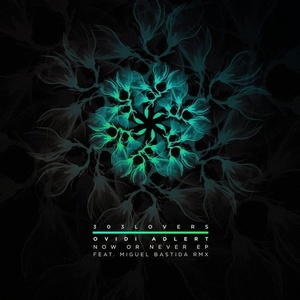 Ovidi Adlert - Now Or Never EP [303L1810]