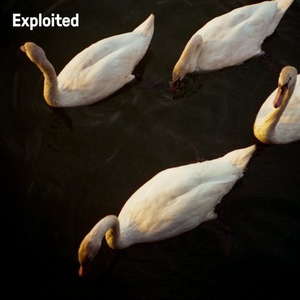 T.U.R.F. - Bring Me Down [EXPDIGITAL170]