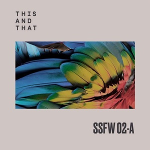 VA - SSFW #2A [TNTSSFW02A]