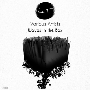 VA - Waves in the Box [LTC003B]
