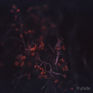 HOSH - Unconventional Ride [FH016]