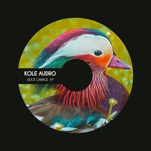 Kole Audro - Duck Garage EP [STH096]