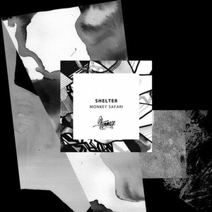 Monkey Safari - Shelter [HOME029DL]