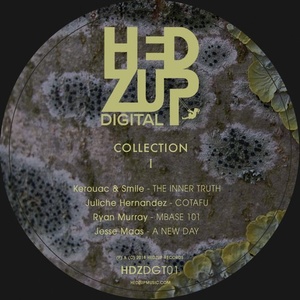 VA - Collection I [HDZDGT01]