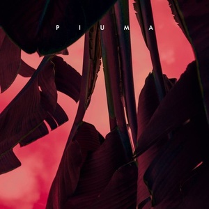 Andrew Case, VieL - Piuma [NWS015]