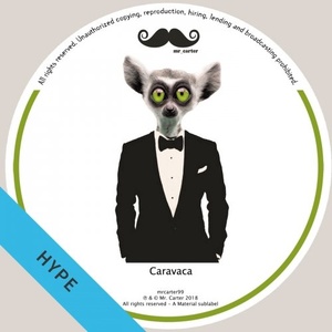 Caravaca - Mad House EP [MRCARTER99E]