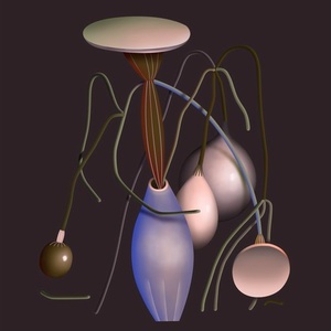 Cook Strummer - Fallen: A Remix EP [LOK007]