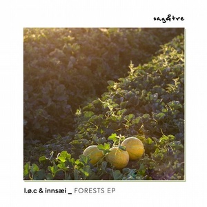 LØC, Innsæi - Forests [SGE005]