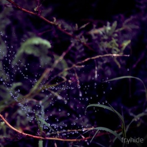 Tim Engelhardt - Catharsis [FH017]