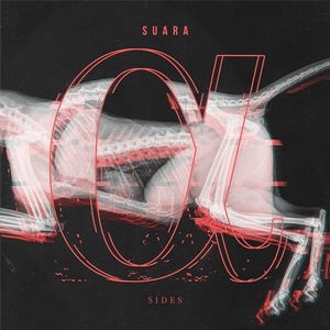 VA - Alpha Sides [SCOM034]