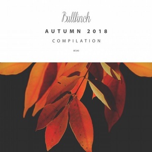 VA - Bullfinch Autumn 2018 Compilation [BF240]
