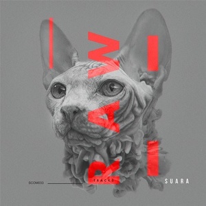 VA - Raw Tracks [SCOM033]