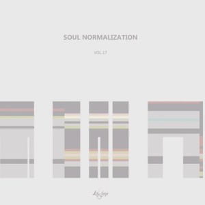 VA - Soul Normalization , Vol. 17 [LP127]