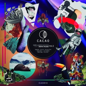 VA - There's Always Cacao In Exotic Places, Vol. 2 [CAO013]