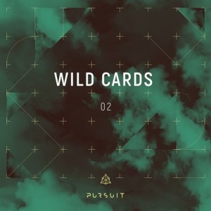 VA - Wild Cards 02 [PRST010]