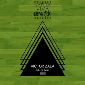 Victor Zala - Big Space [NATBLACK145]