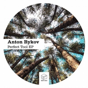Anton Bykov - Perfect Tool EP [DTR207]