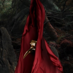 Claptone, Clap Your Hands Say Yeah - Animal [DIF414DS1]