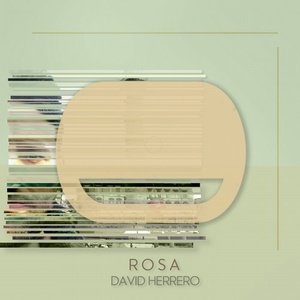 David Herrero - Rosa [KRM245]