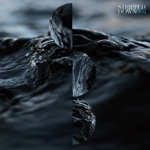 Ken Hayakawa - Sonic Wave EP [STRD004]