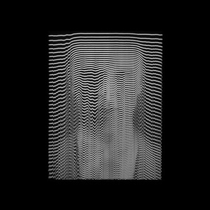 Namito, DJQ Quinta Young - Ride the Flow (DJ Hell Remix) [10144631]