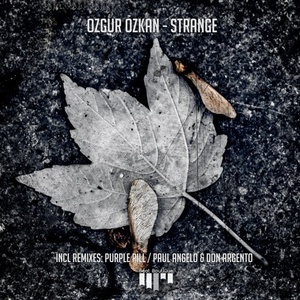 Ozgur Ozkan - Strange [BB065]