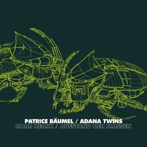 Patrice Baumel, Adana Twins - Roar Remix / Aufstand der Massen [WGVINYL052]