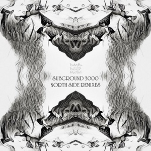 Subground 3000 - North Side Remixes [DIMBI048]