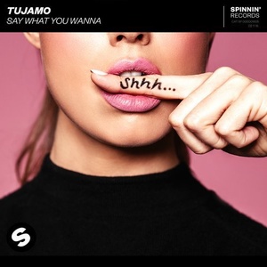 Tujamo - Say What You Wanna [190295532147]