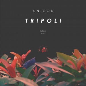 Unicod - Tripoli [BF242]
