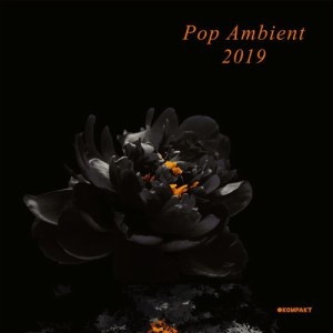 VA - Pop Ambient 2019 [KOMPAKTCD150D]