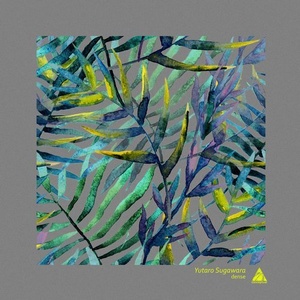 Yutaro Sugawara - Dense [CPL161]