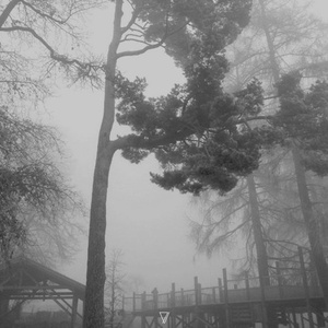 Agatha Pher - Skinthings [7V057]