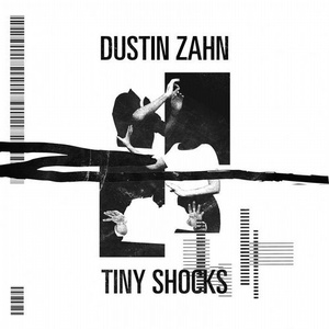 Dustin Zahn - Tiny Shocks [NME001]