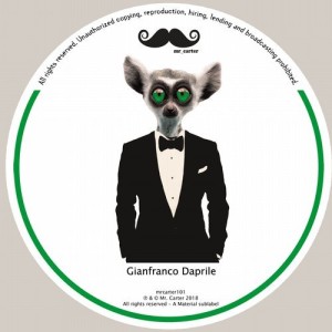 Gianfranco Daprile, Sowelu - Fuck Synth EP [MRCARTER101]