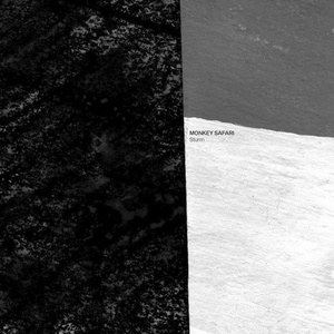 Monkey Safari - Sturm [HOME031]