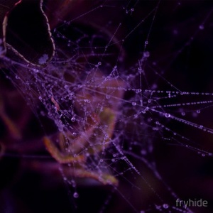 Tone Depth, HOSH - Express / Airwolf [FH019]