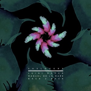 VA - 303lovers Pres. Luigi Rocca & Manuel De La Mare Back 2 Back [303L1820]