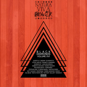 VA - Black Diamonds, Vol. 16 [NATBLACK156]