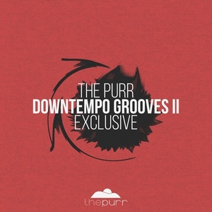 VA - Downtempo Grooves II Exclusive [PURR192]