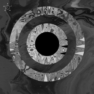 Anml Mthr - Power Surge EP [FLASH212]