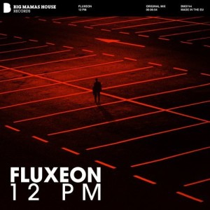 Fluxeon - 12 PM [BMD744]