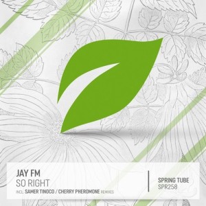 Jay FM - So Right [SPR258]