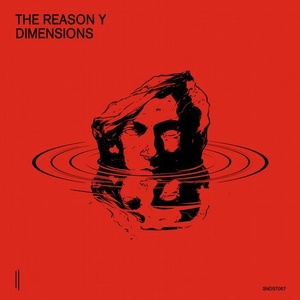 The Reason Y - Dimensions [SNDST057]
