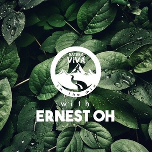 VA - Natura Viva in the Mix With Ernest Oh [NATMIX011]