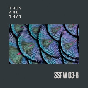 VA - SSFW #3B [TNTSSFW03B]