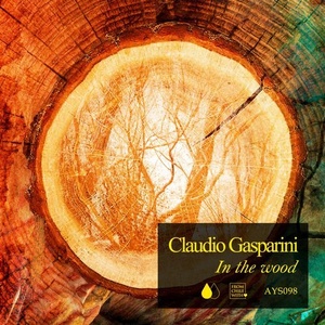 Claudio Gasparini - In the Wood [AYS098]
